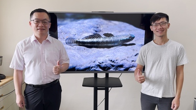 發現新物種！罕見鰕虎魚現蹤獨流溪 中山大學籲保育棲地圖片(另開新視窗)