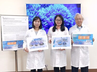 塑膠微粒竟讓珊瑚「骨質疏鬆」！中山大學最新研究登頂尖期刊圖片(另開新視窗)