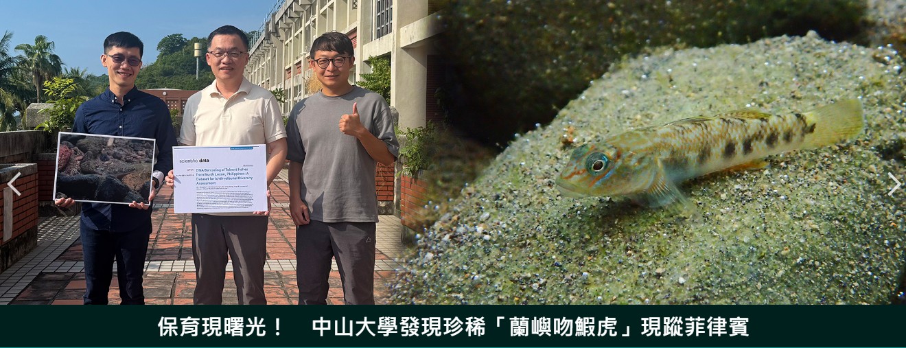 保育現曙光！　中山大學發現珍稀「蘭嶼吻鰕虎」現蹤菲律賓