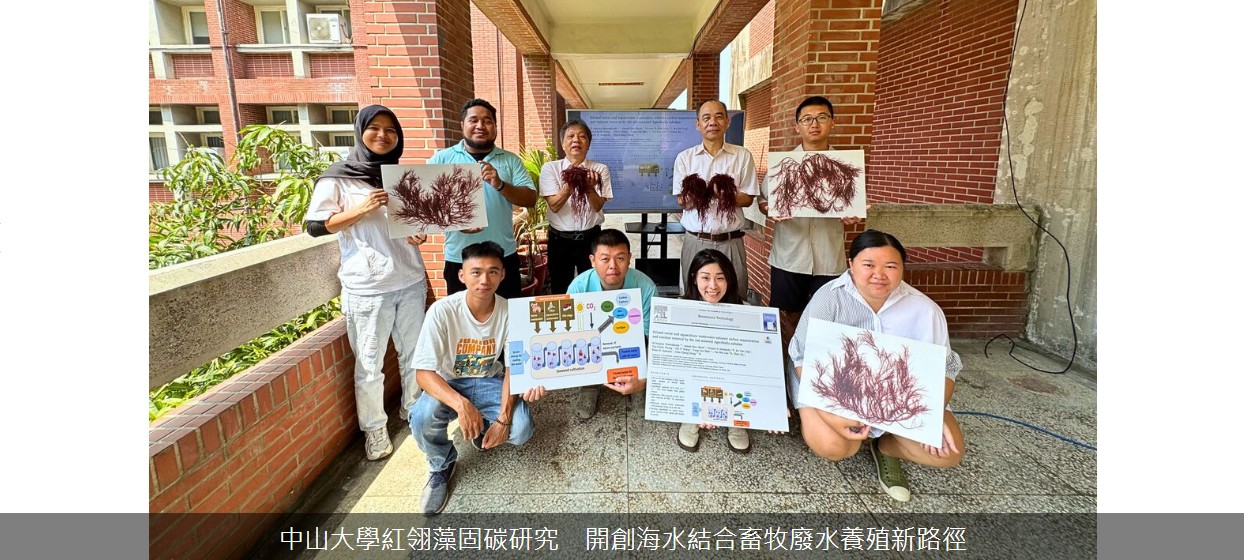 中山大學紅翎藻固碳研究　開創海水結合畜牧廢水養殖新路徑