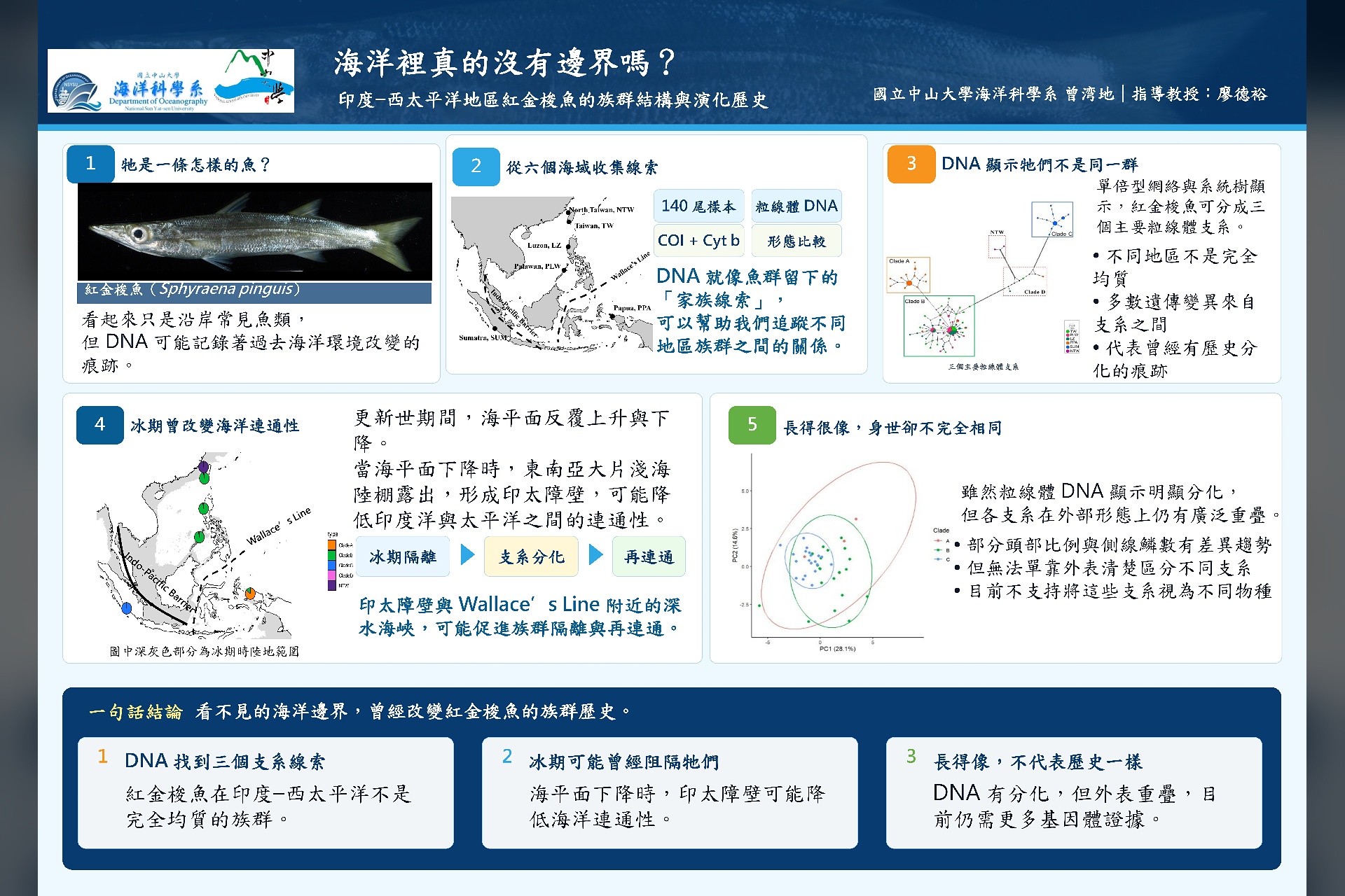 海洋科學系114學年度海報比賽第一名研究介紹